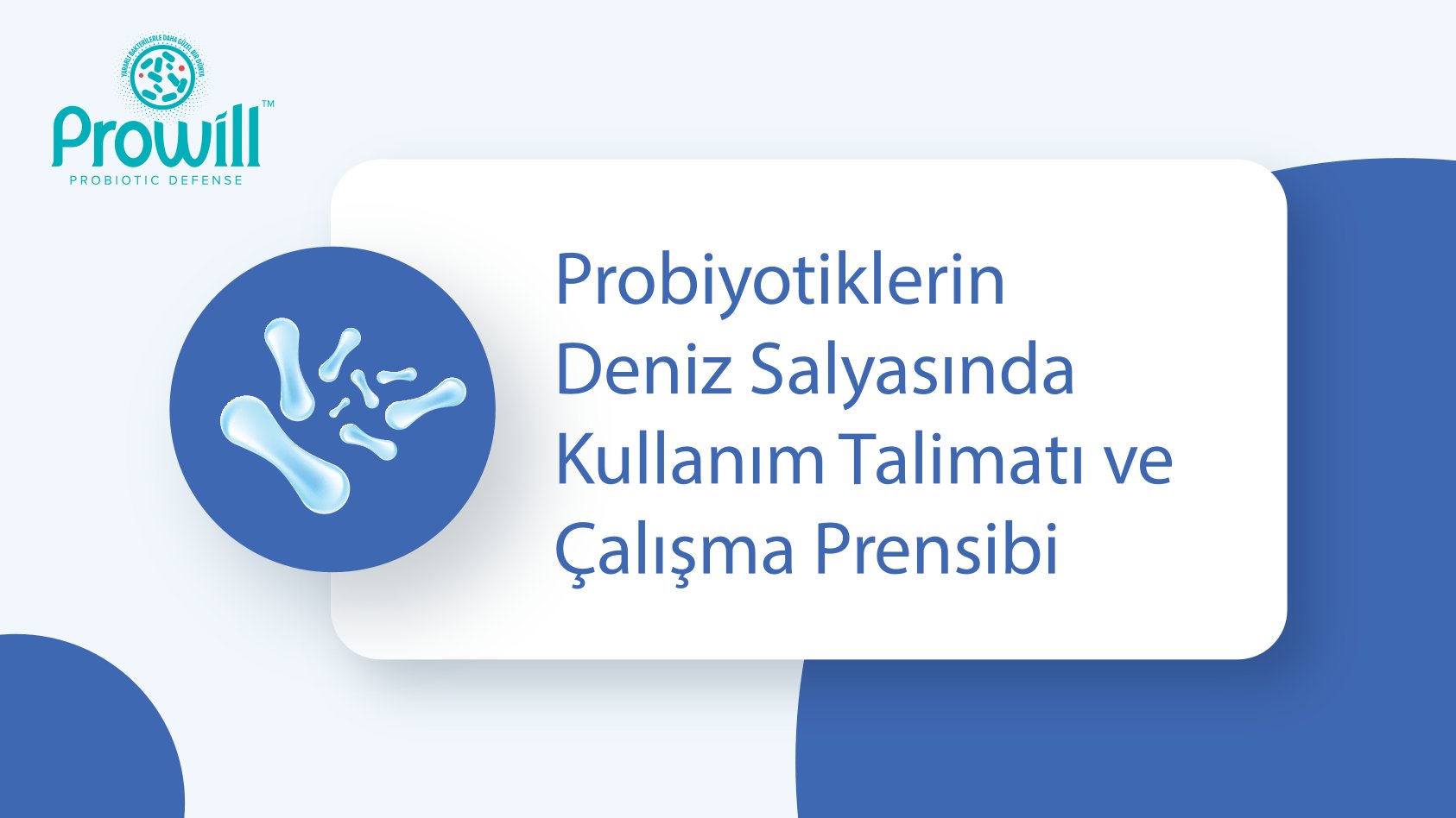 Deniz Salyası Sunumu 1